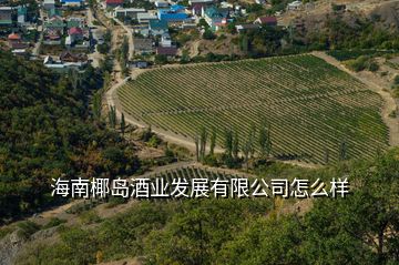 海南椰島酒業(yè)發(fā)展有限公司怎么樣