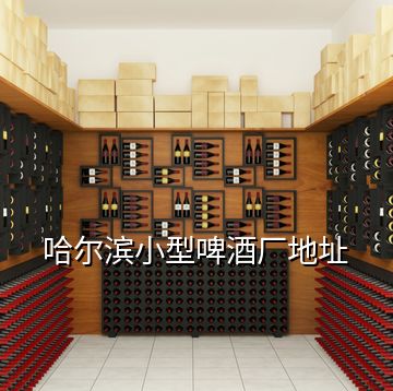 哈爾濱小型啤酒廠地址