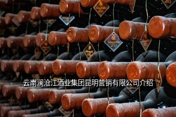 云南瀾滄江酒業(yè)集團昆明營銷有限公司介紹