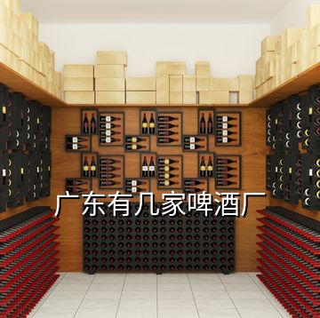 廣東有幾家啤酒廠