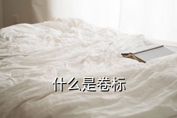 什么是卷標