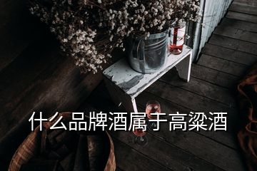 什么品牌酒屬于高粱酒