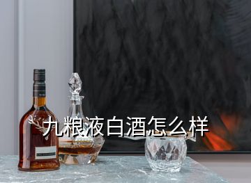 九糧液白酒怎么樣