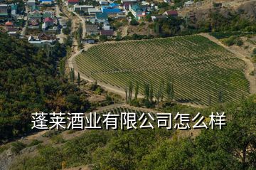 蓬萊酒業(yè)有限公司怎么樣