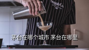 茅臺在哪個城市 茅臺在哪里