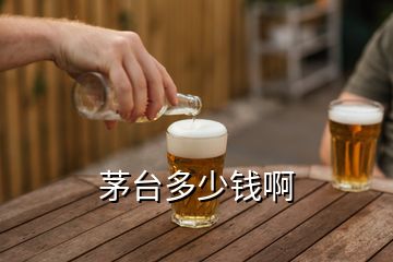 茅臺(tái)多少錢啊