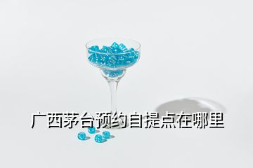 廣西茅臺預(yù)約自提點(diǎn)在哪里