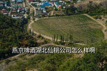 燕京啤酒湖北仙桃公司怎么樣啊