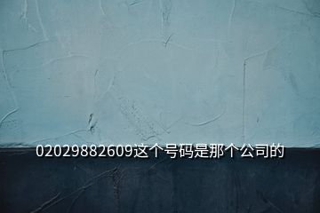 02029882609這個號碼是那個公司的