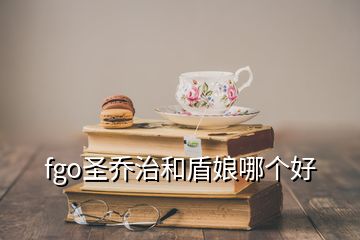 fgo圣喬治和盾娘哪個(gè)好