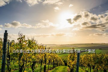 山東泰山生力源集團和泰山酒業(yè)集團是不是一個集團