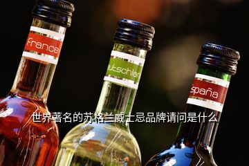 世界著名的蘇格蘭威士忌品牌請問是什么