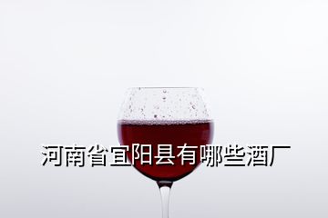 河南省宜陽縣有哪些酒廠