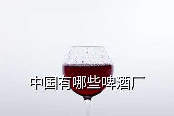 中國有哪些啤酒廠