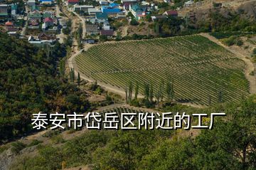 泰安市岱岳區(qū)附近的工廠