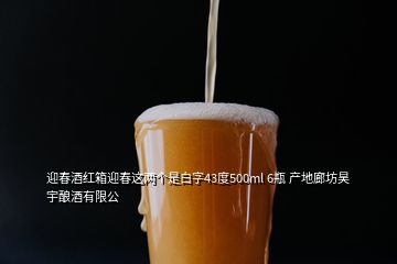 迎春酒紅箱迎春這兩個(gè)是白字43度500ml 6瓶 產(chǎn)地廊坊昊宇釀酒有限公