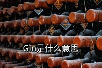 Gin是什么意思