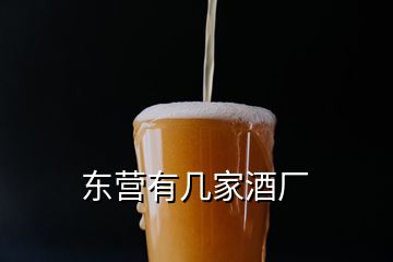 東營(yíng)有幾家酒廠