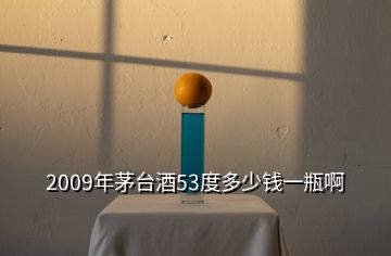 2009年茅臺(tái)酒53度多少錢一瓶啊