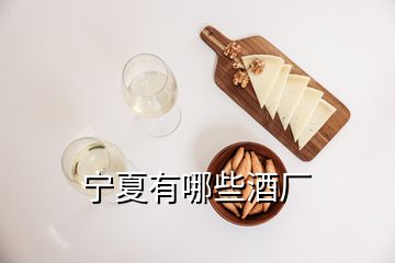 寧夏有哪些酒廠