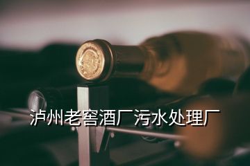 瀘州老窖酒廠污水處理廠