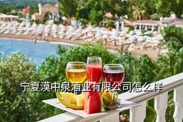 寧夏漠中泉酒業(yè)有限公司怎么樣