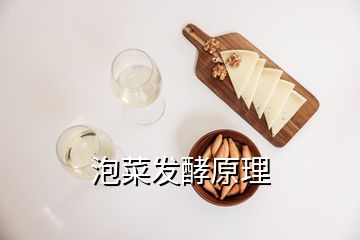 泡菜發(fā)酵原理