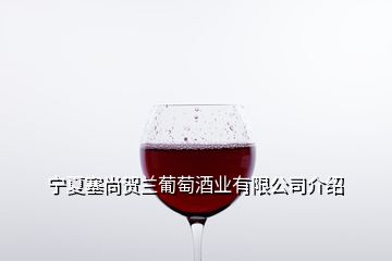 寧夏塞尚賀蘭葡萄酒業(yè)有限公司介紹