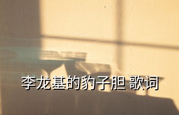 李龍基的豹子膽 歌詞