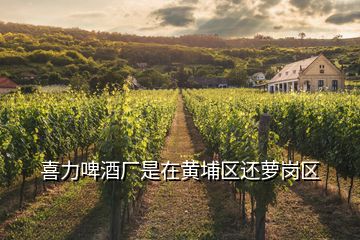 喜力啤酒廠是在黃埔區(qū)還蘿崗區(qū)