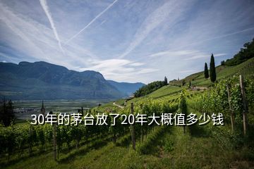 30年的茅臺(tái)放了20年大概值多少錢