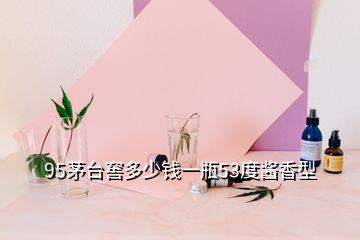 95茅臺(tái)窖多少錢(qián)一瓶53度醬香型