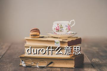 duro什么意思