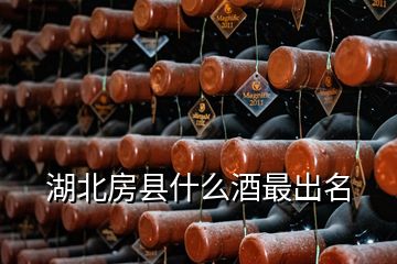 湖北房縣什么酒最出名