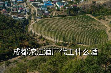 成都沱江酒廠(chǎng)代工什么酒