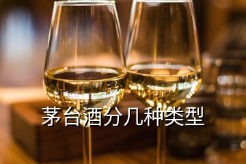 茅臺酒分幾種類型