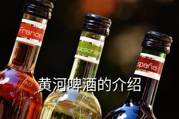 黃河啤酒的介紹