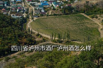 四川省瀘州市酒廠瀘州酒怎么樣