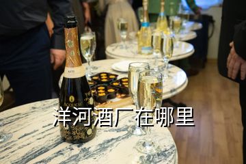 洋河酒廠在哪里