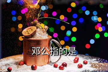 鄧公指的是