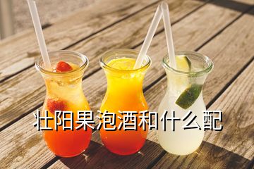 壯陽(yáng)果泡酒和什么配