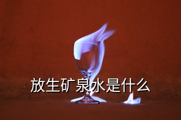 放生礦泉水是什么