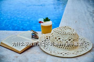 為什么羅技官網(wǎng)查不到 wave pro 套裝