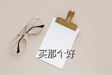 買(mǎi)那個(gè)好