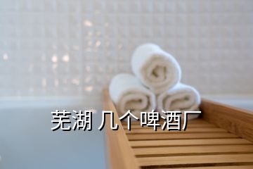 蕪湖 幾個(gè)啤酒廠