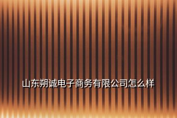 山東朔誠電子商務(wù)有限公司怎么樣