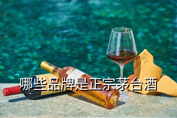 哪些品牌是正宗茅臺酒