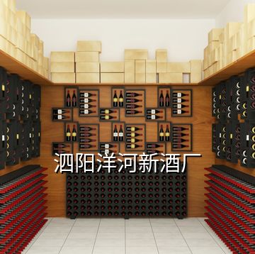 泗陽洋河新酒廠