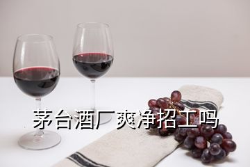 茅臺(tái)酒廠爽凈招工嗎