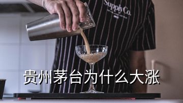 貴州茅臺為什么大漲